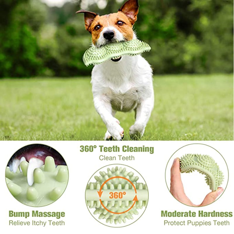 Durable Interactive Dog Toy