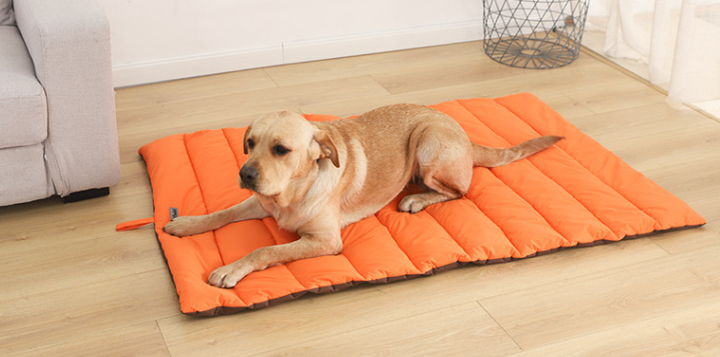 Ultra-Durable Waterproof Pet Mat