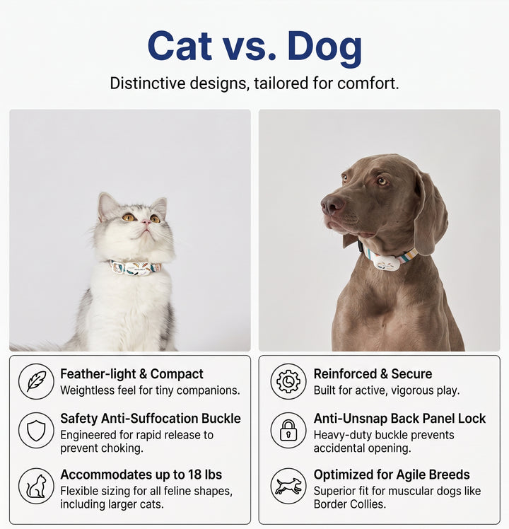 Dog and Cat Activity Tracker