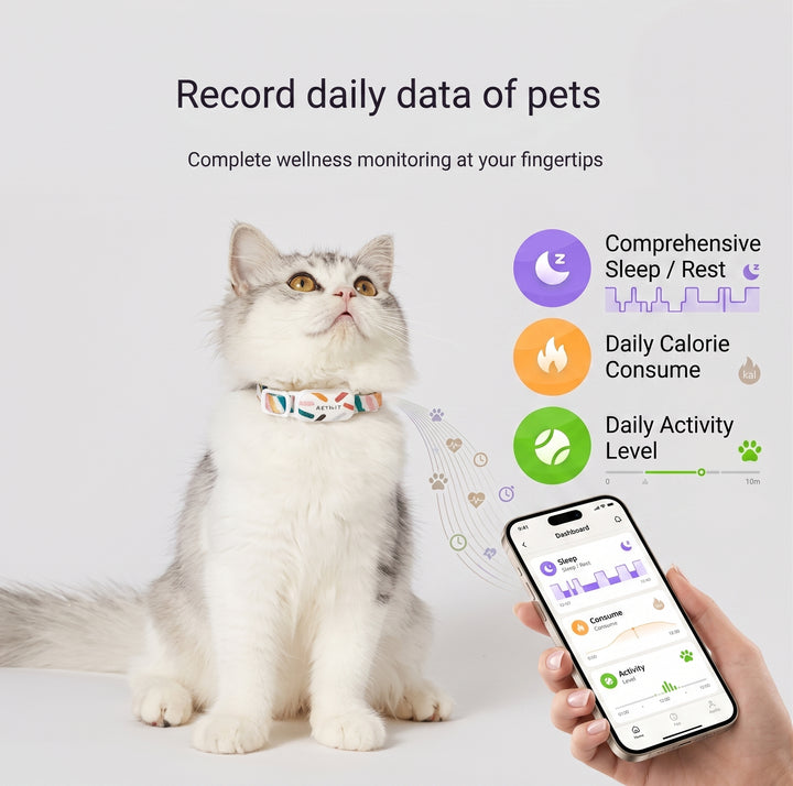 Dog and Cat Activity Tracker