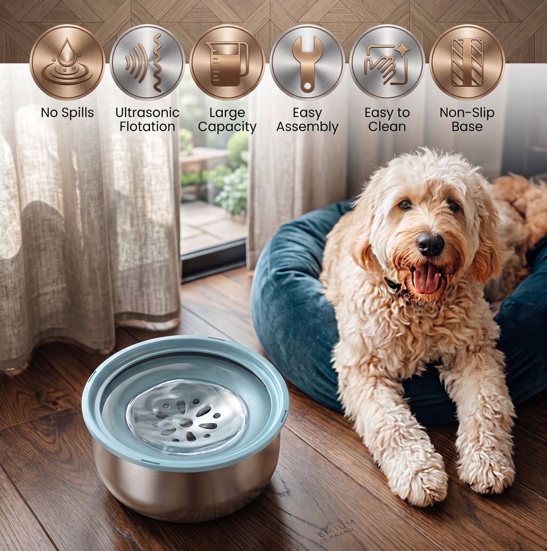Stainless Steel No-Spill Pet Water Bowl